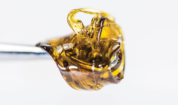 extract-gallery-590px Cannabis Extract